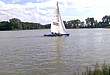 Żaglówka na jeziorze Gopło 
